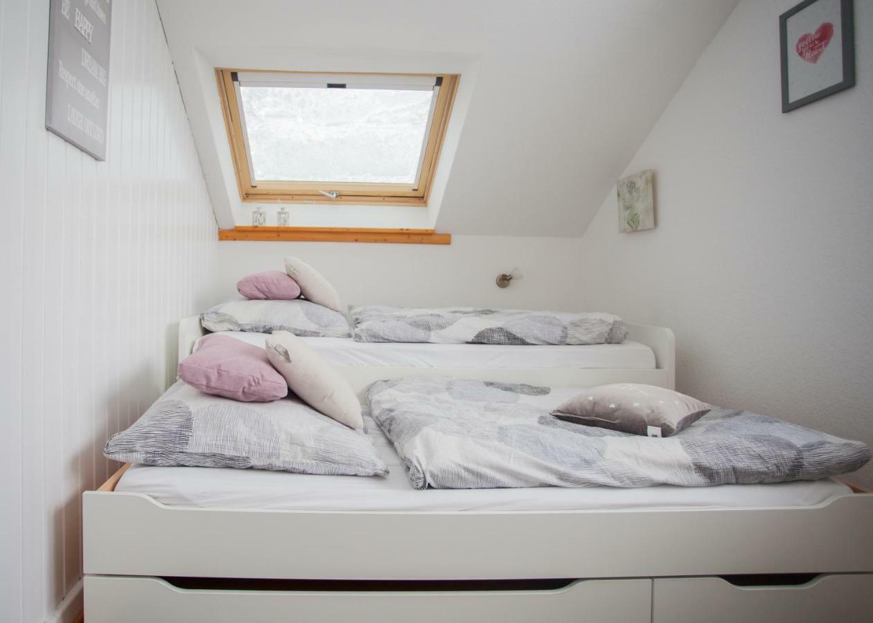 Apartment Wohlfühloase Am Bikepark Und Skigebiet, 2 Schlafzimmer, Abschließbarer Fahrradkeller Winterberg